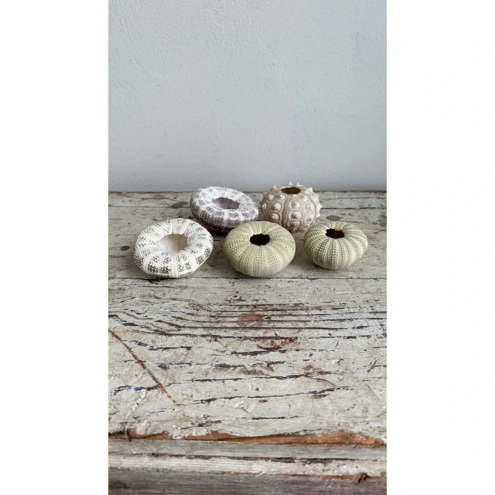 Unbranded set natural